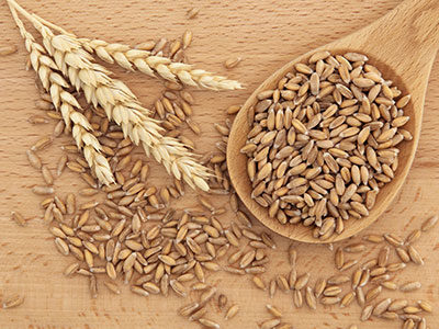 Agroalimentaire et céréales
